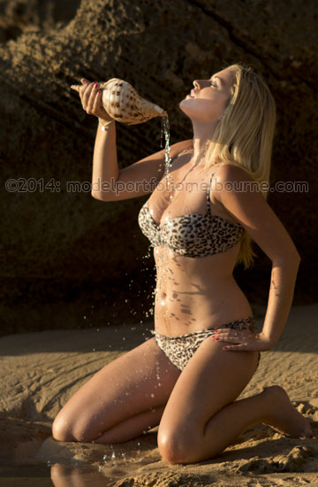 models portfolio photographer